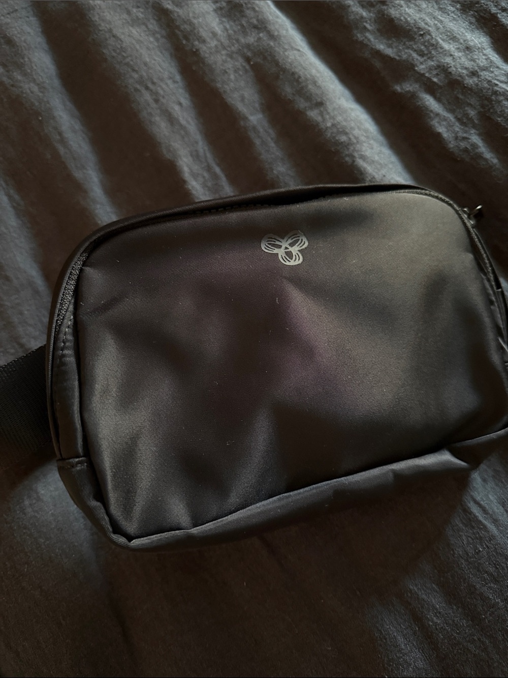 NWT Aritzia Belt Bag